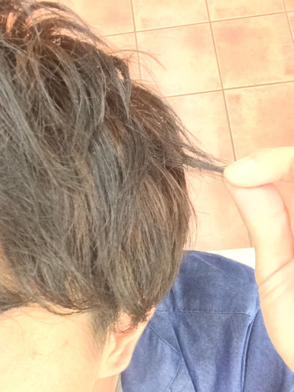 affect、アフェクト、桑本、くわも