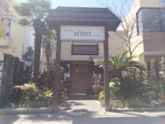 hair make affect SOUTH