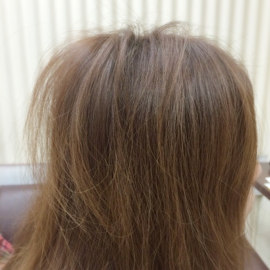 くわも、桑本、affect、アフェクト