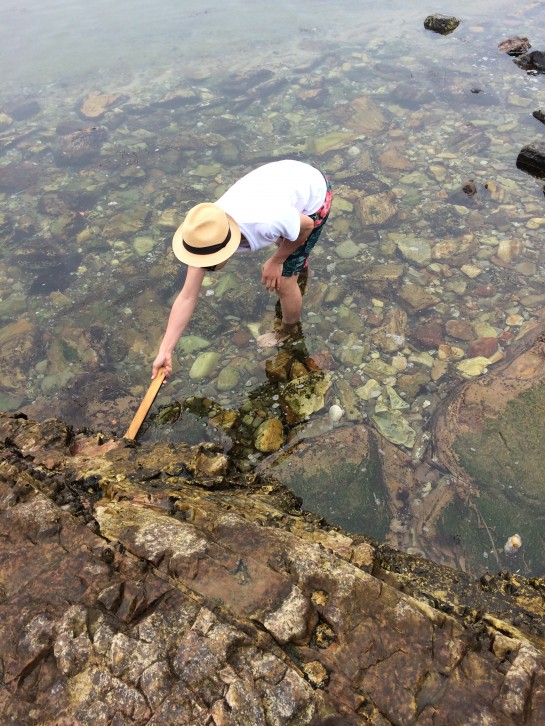 affect,アフェクト、くわも、桑本