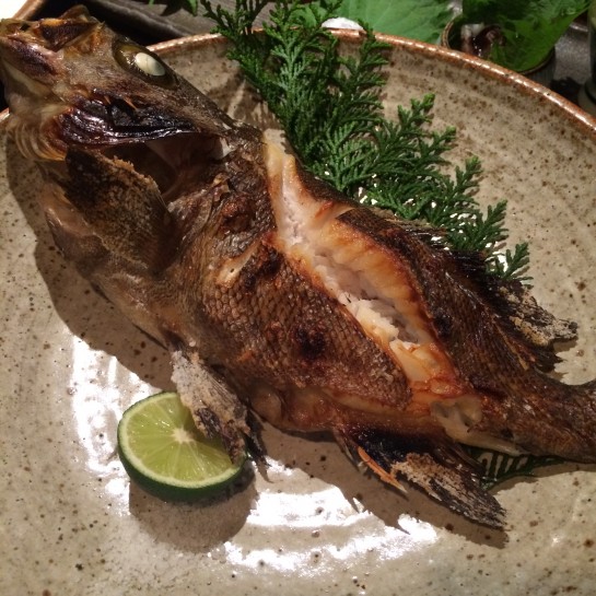 affect,アフェクト、くわも、桑本